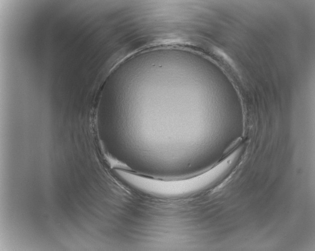 X0000072541361200608111802