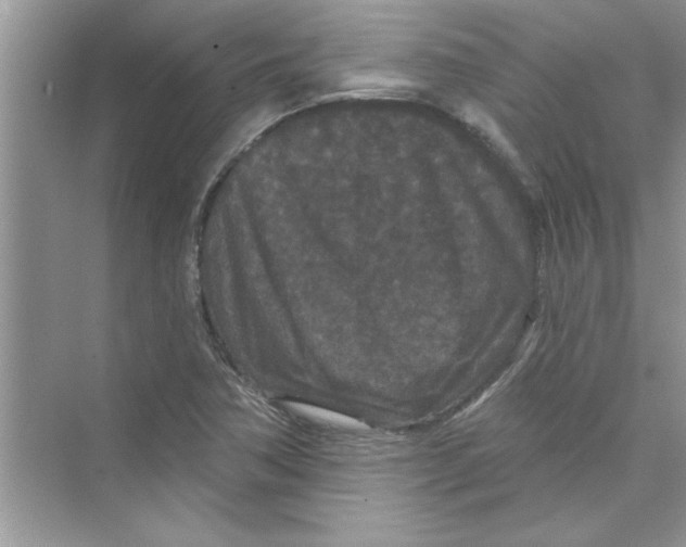 X0000072541362200608111802