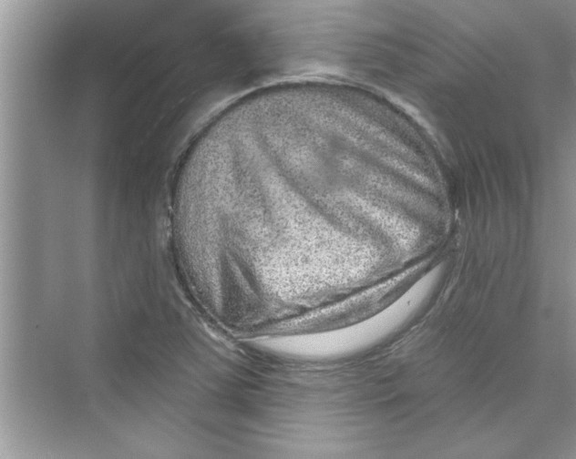 X0000072541363200608111802