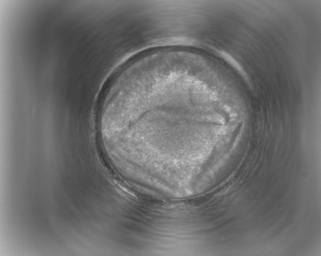 X0000072541364200608111802