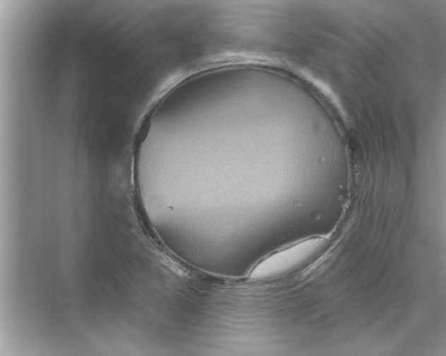 X0000072541365200608111802