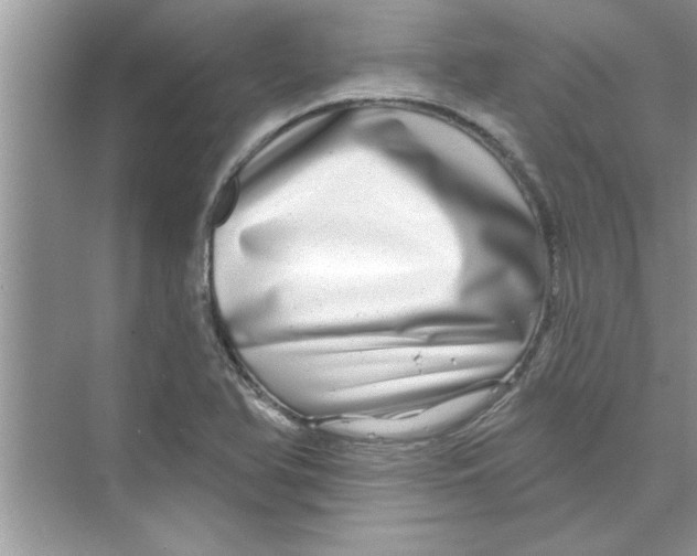 X0000072541366200608111802