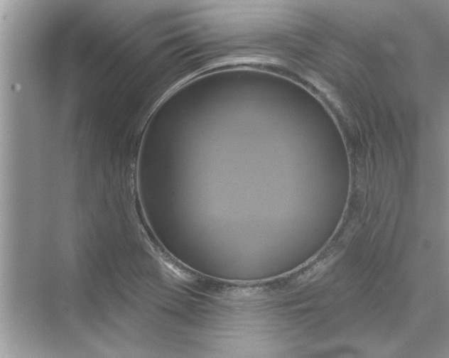 X0000072541369200608111802