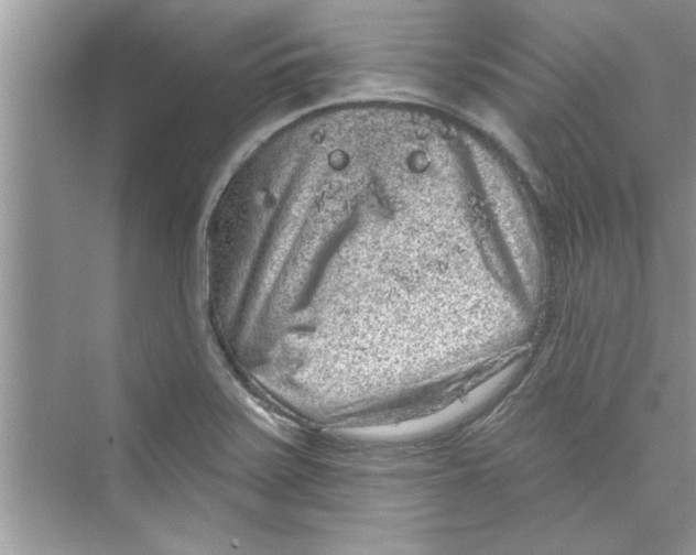 X0000072541371200608111802