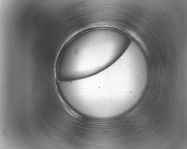 X0000072541372200608111802