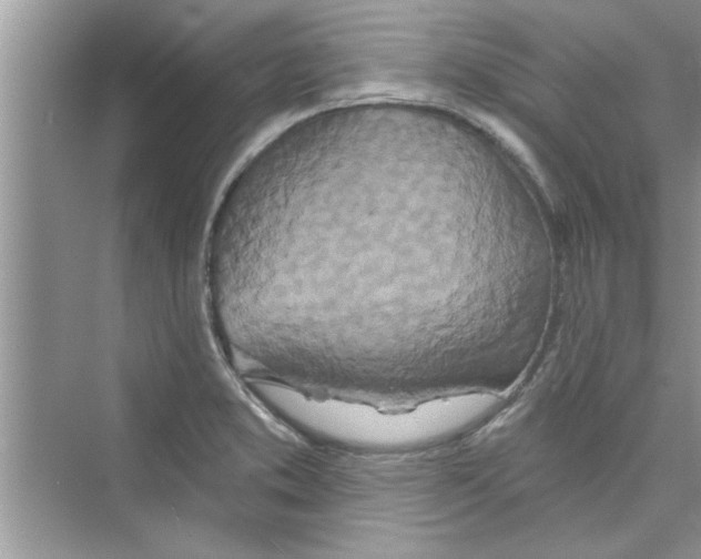 X0000072541373200608111802