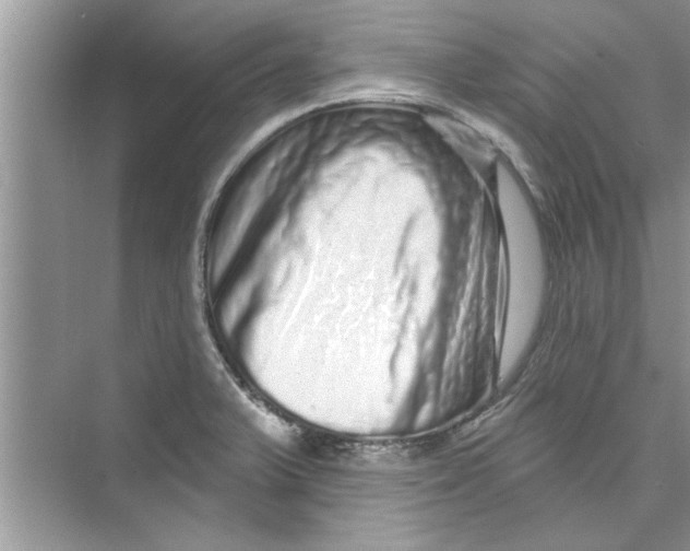 X0000072541375200608111802