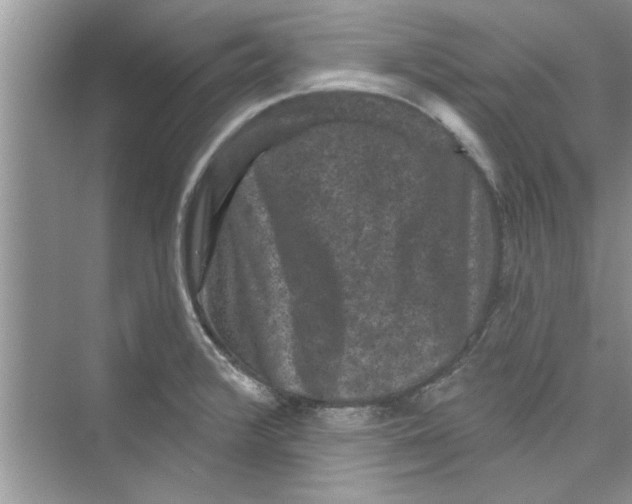 X0000072541376200608111802