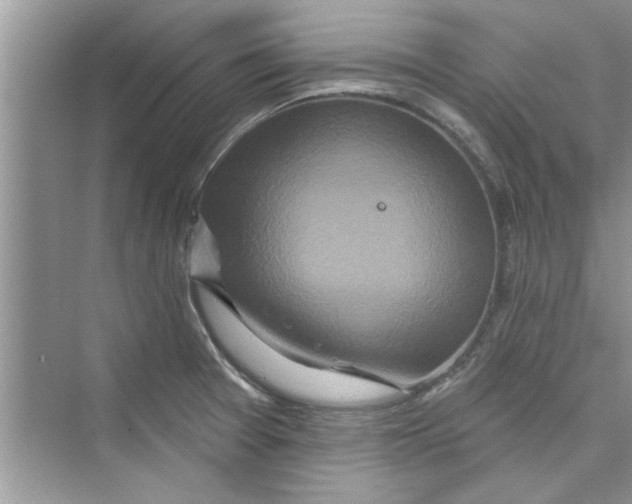 X0000072541377200608111802