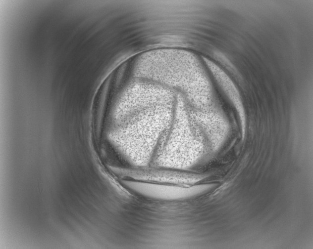 X0000072541378200608111802