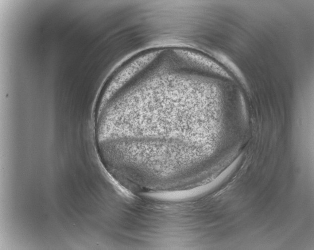 X0000072541380200608111801