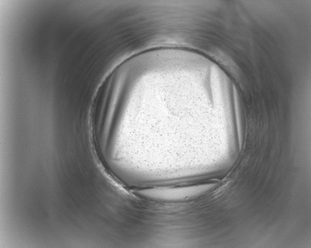 X0000072541382200608111801