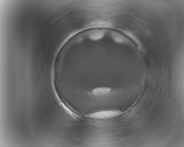 X0000072541383200608111801