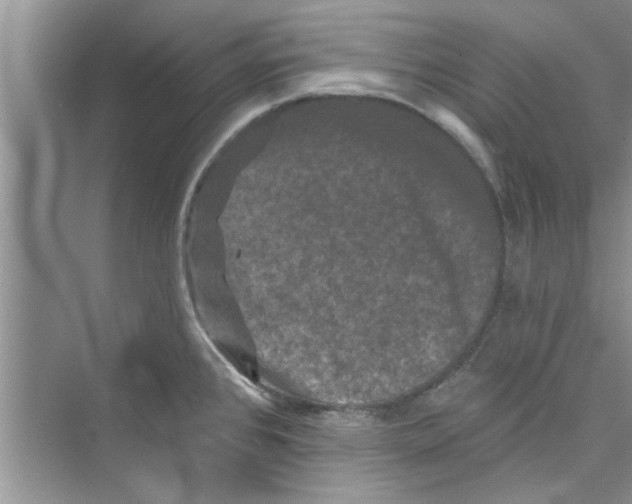 X0000072541384200608111801