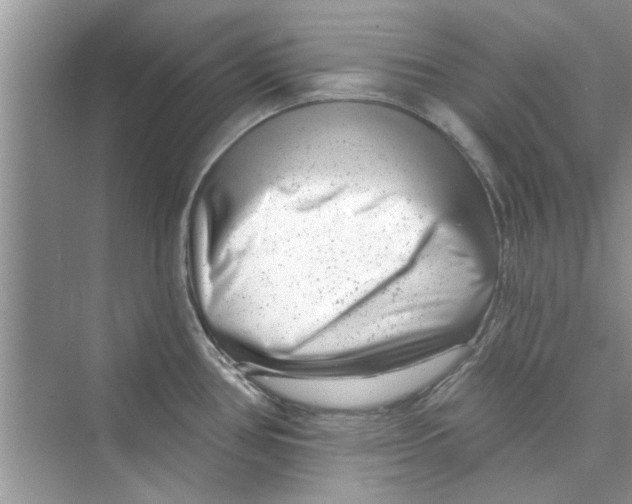 X0000072541386200608111801