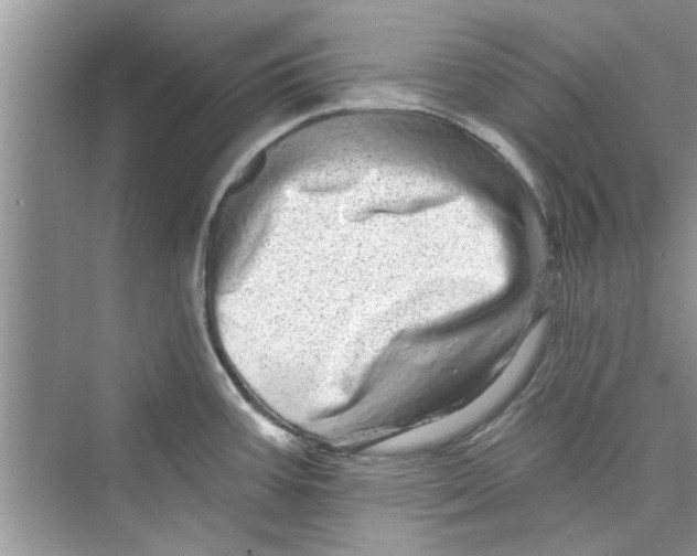 X0000072541387200608111801