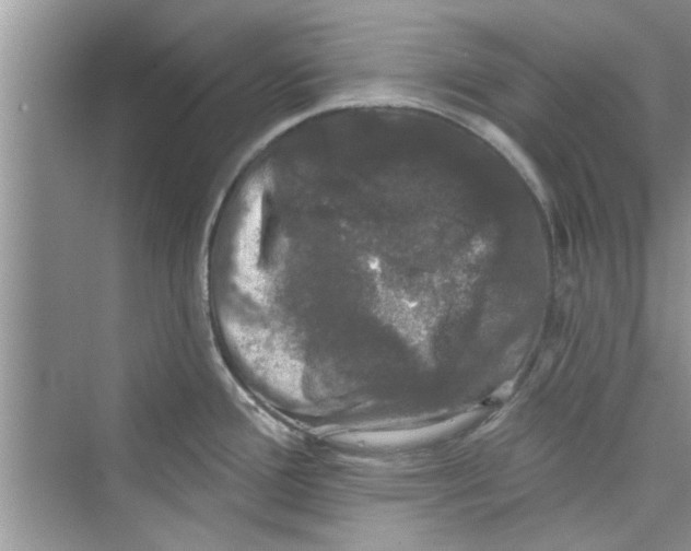 X0000072541388200608111801