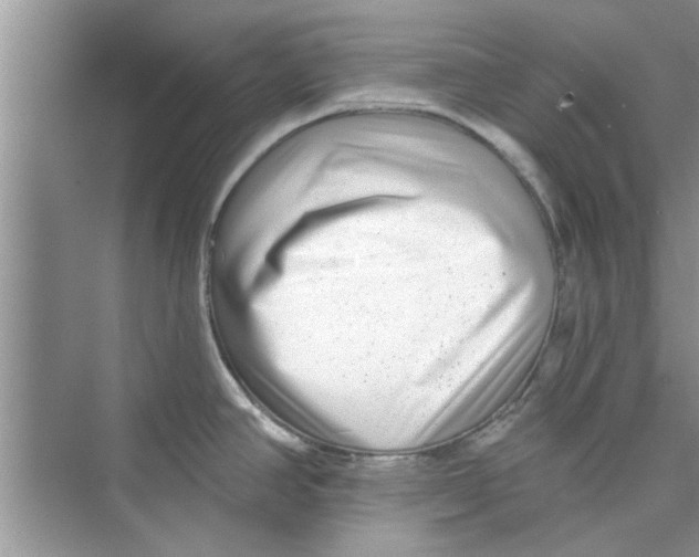 X0000072541390200608111801