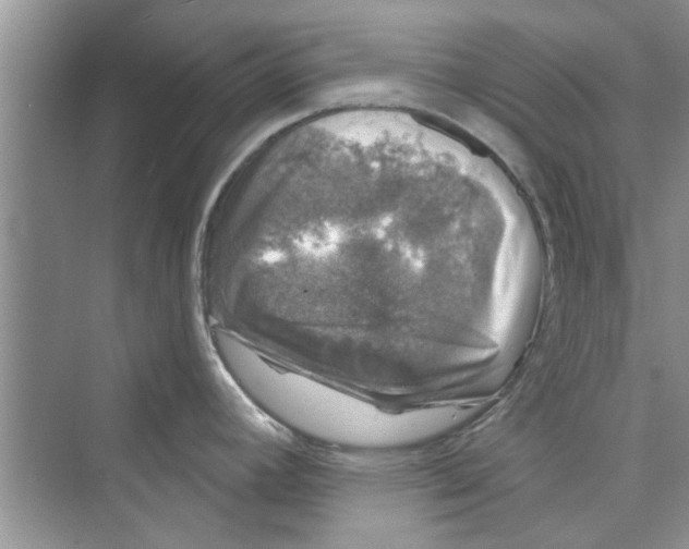 X0000072541392200608111801