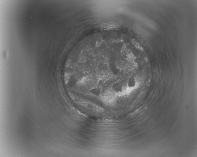 X0000072541393200608111800