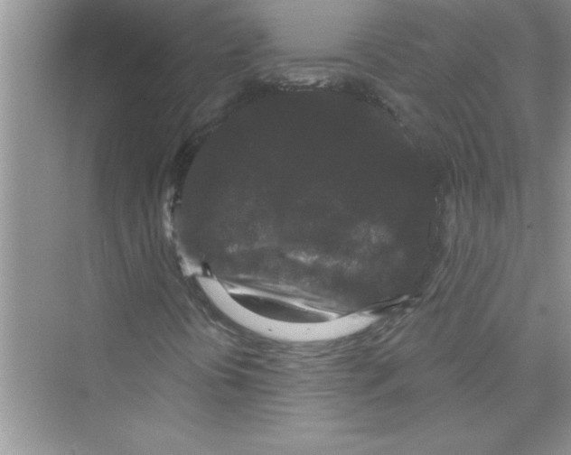 X0000072541394200608111800