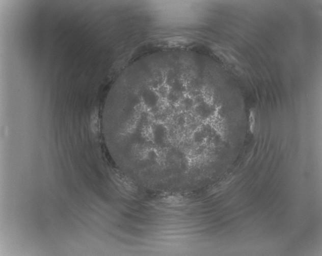 X0000072541395200608111801