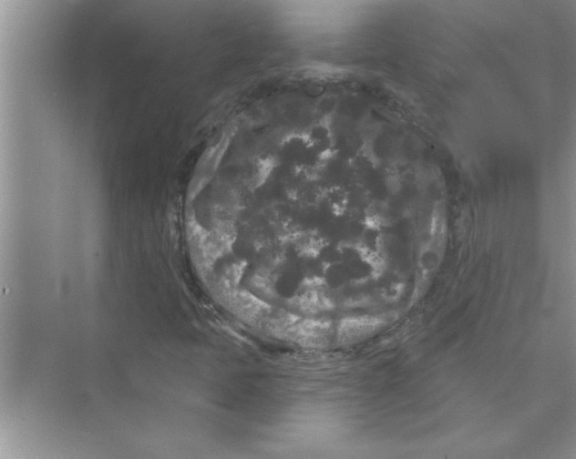 X0000072541397200608111801