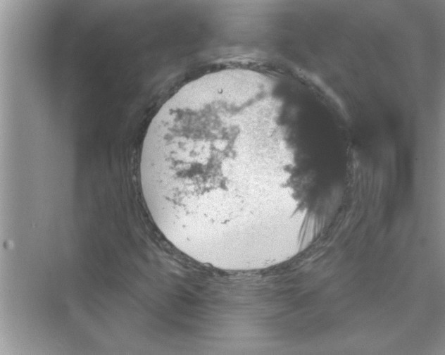 X0000072541399200608111801