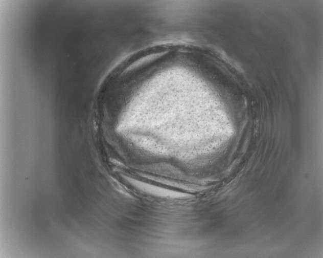 X0000072541400200608111801