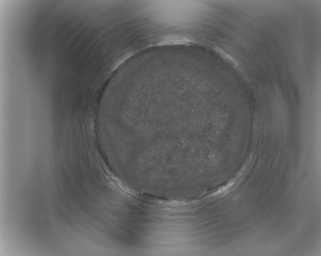 X0000072541401200608111801