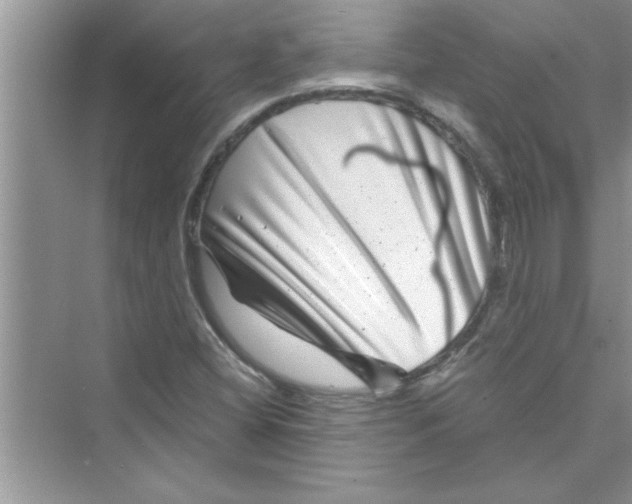 X0000072541404200608111801