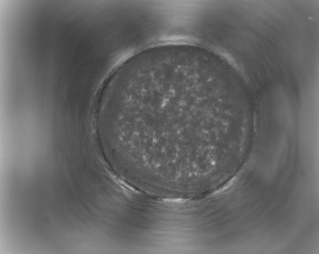 X0000072541405200608111801