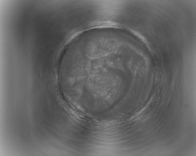 X0000072541407200608111801