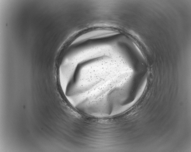 X0000072541408200608111801