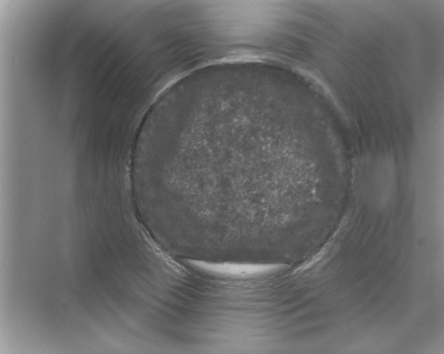 X0000072541409200608111801