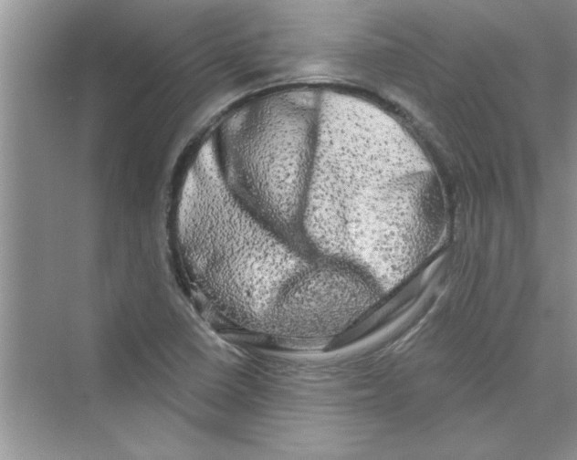 X0000072541410200608111801