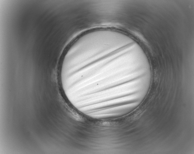 X0000072541412200608111801