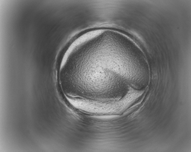 X0000072541414200608111801