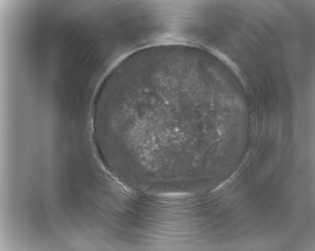 X0000072541415200608111801