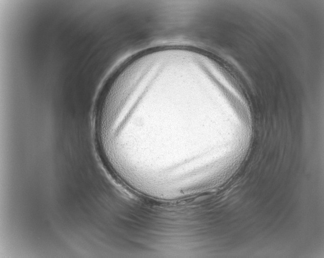 X0000072541416200608111801