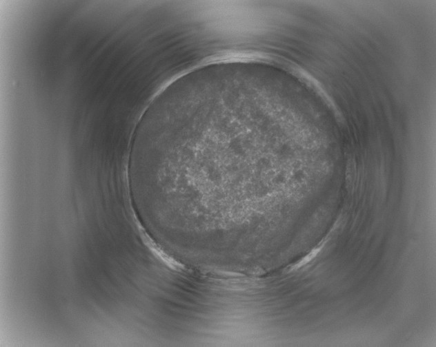 X0000072541417200608111801