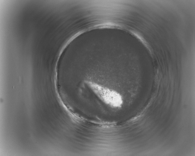 X0000072541418200608111801