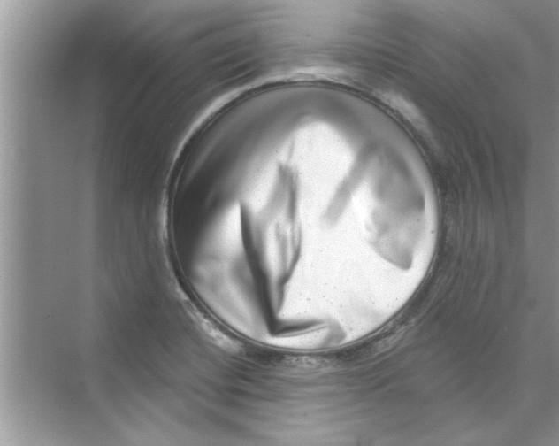 X0000072541420200608111801