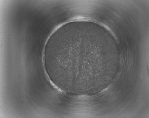 X0000072541421200608111801