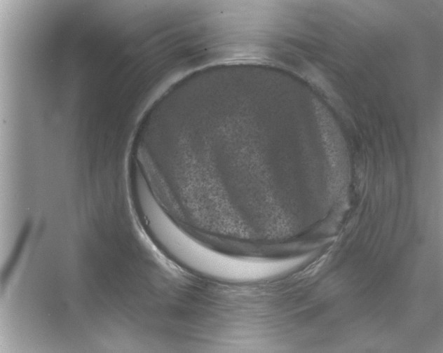 X0000072541422200608111801