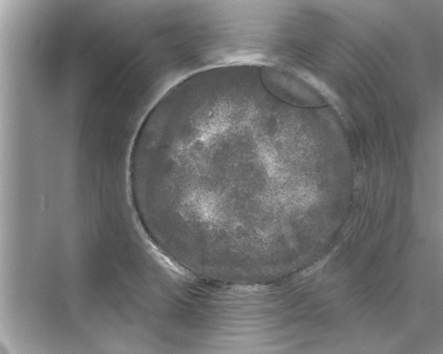 X0000072541423200608111801