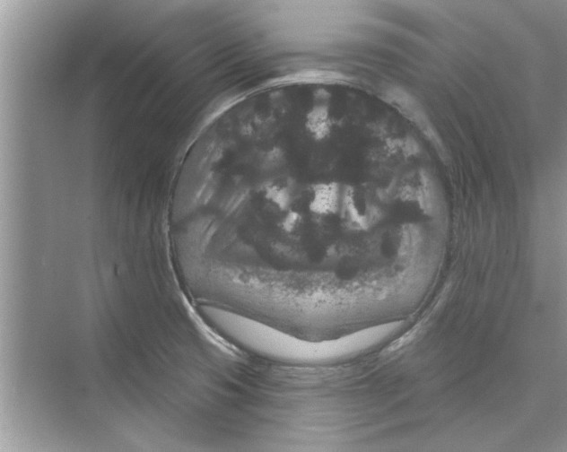 X0000072541425200608111801