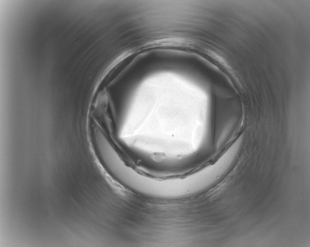 X0000072541426200608111801