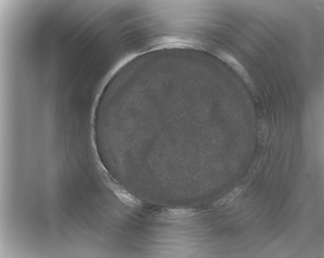 X0000072541427200608111801