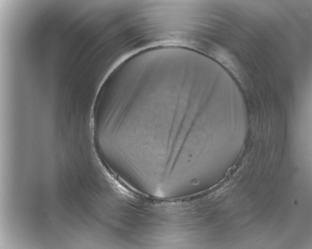 X0000072541428200608111801